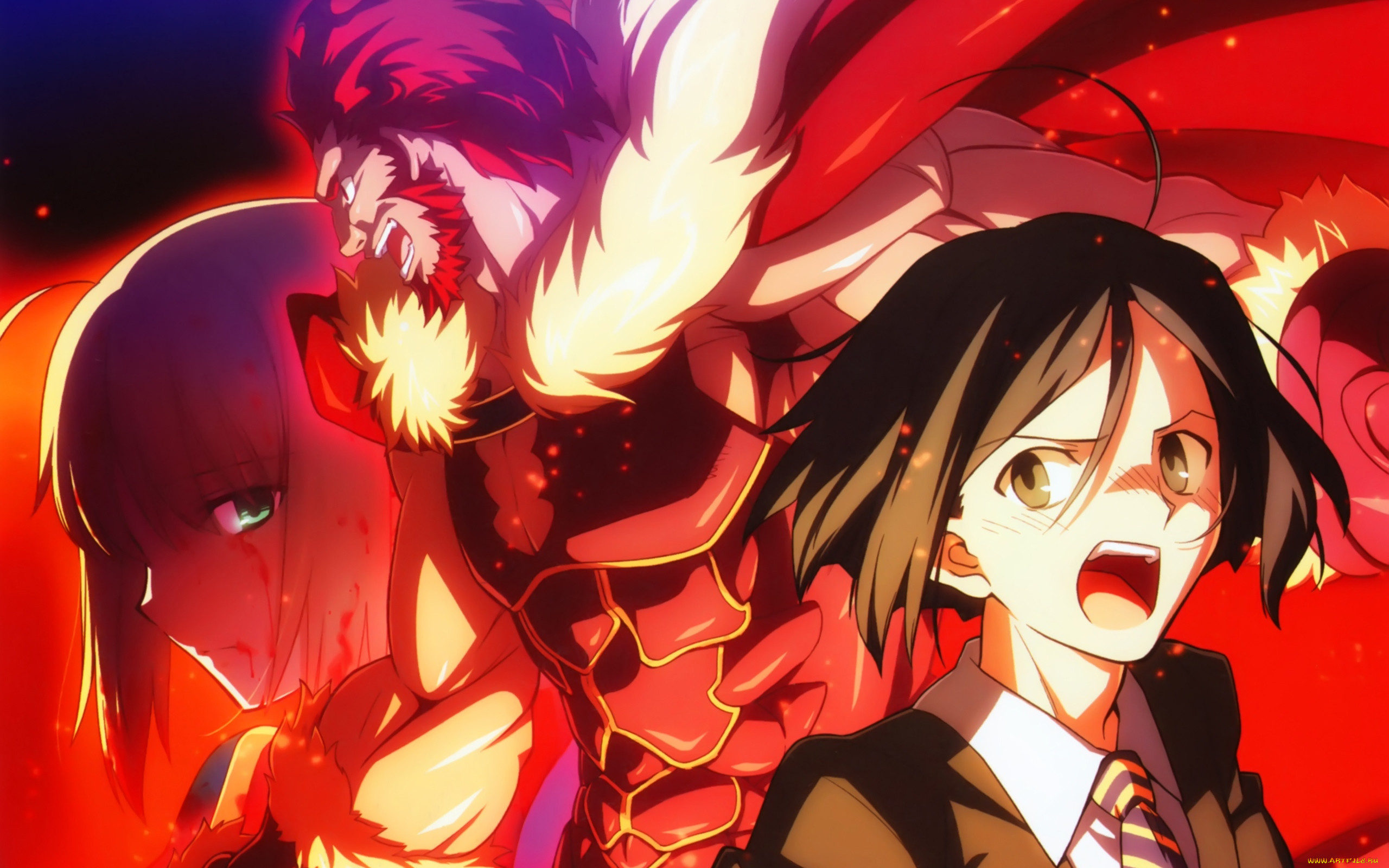, fate, zero, 